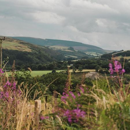 Belan Bluebell Woods Shepherds Hut Llanidloes Exteriér fotografie