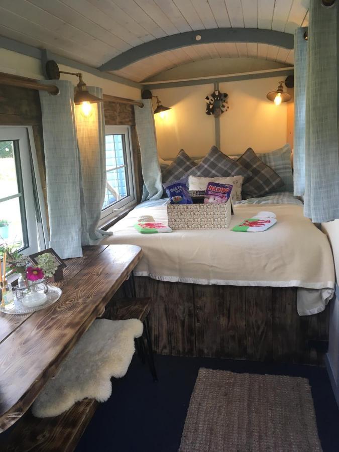 Belan Bluebell Woods Shepherds Hut Llanidloes Exteriér fotografie